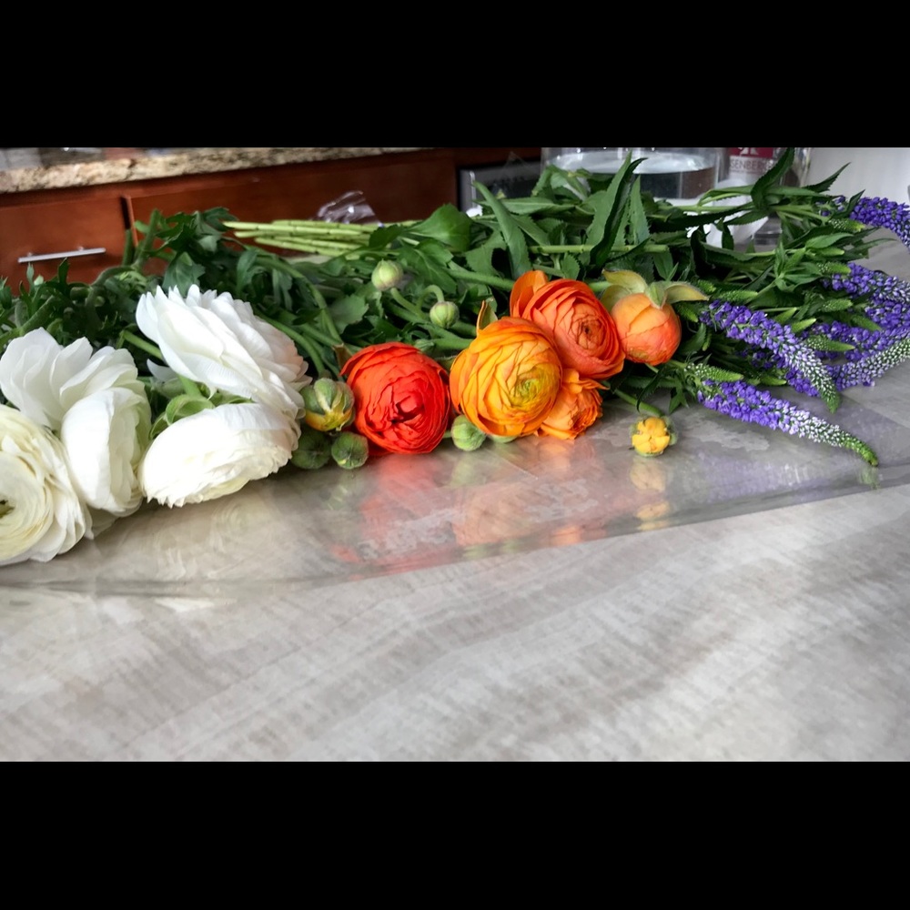 Meet your Posher, Sasha